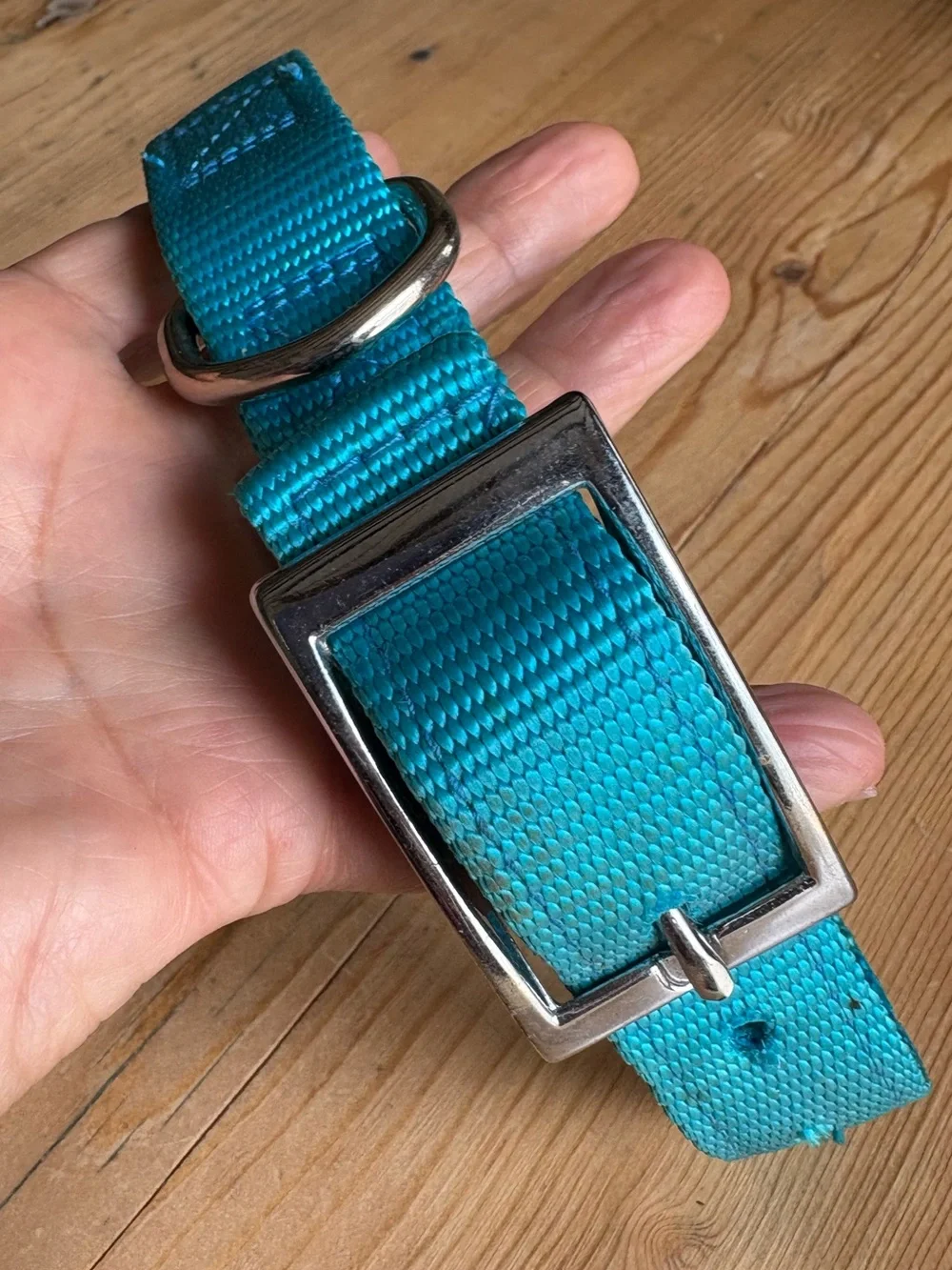 DOG COLLAR, DOUBLE-PLY PREMIUM 1” NYLON Nickel Hardware EUC